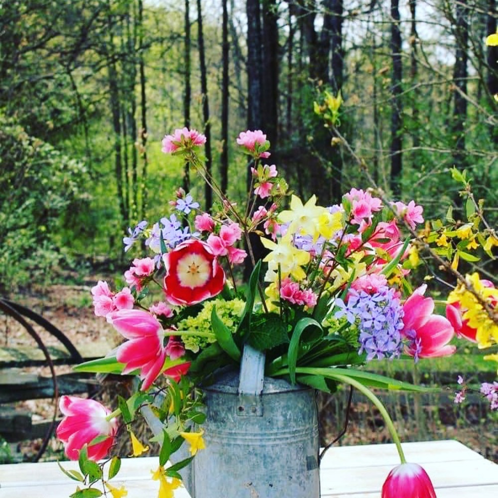Spring Time 💐💐💐